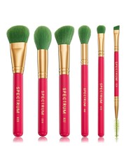 Spectrum Collections Ibiza Travel Book 6 Piece Full Sized Brush Set - Image 2 of 3