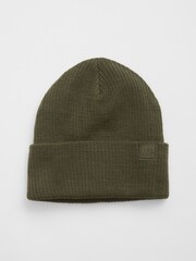 Gap Green Toddlers Logo Beanie - Image 1 of 1