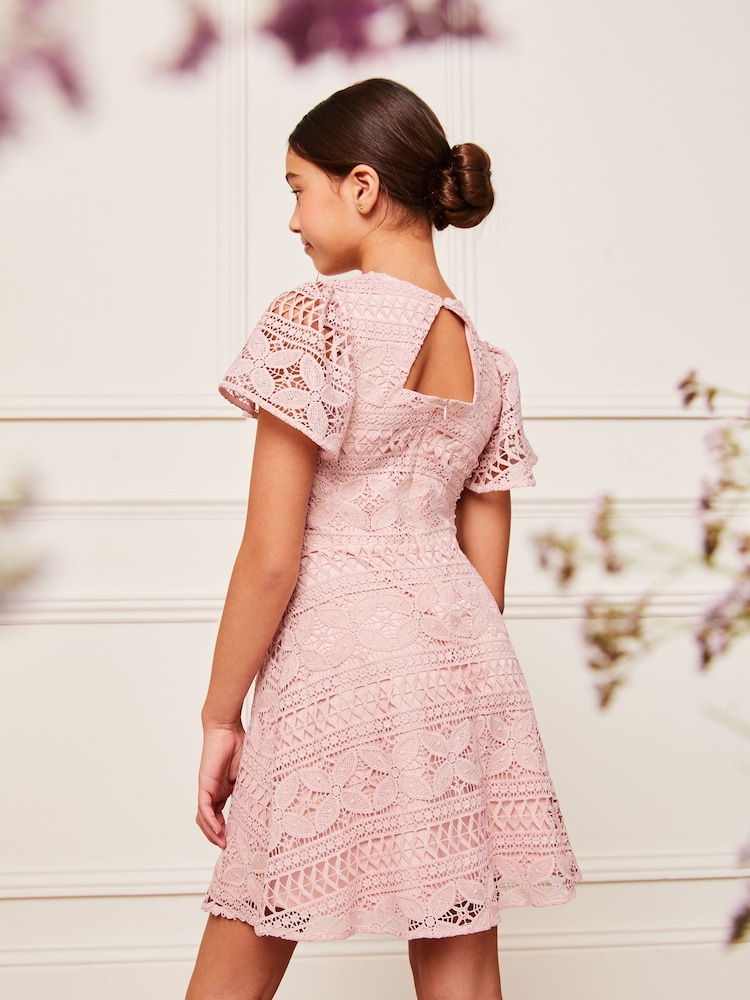 Lipsy Pink Flutter Sleeve Lace Occasion Dress - Image 4 of 4