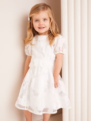 Lipsy White Baby Organza Corsage Occasion Dress (0mths-2yrs) - Image 1 of 6