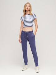 Superdry Multi Vintage Stripe Crop T-Shirt - Image 2 of 3