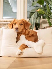 Lords and Labradors Cream High Sided 100% Cotton Savanna Dog Bed - Image 1 of 5