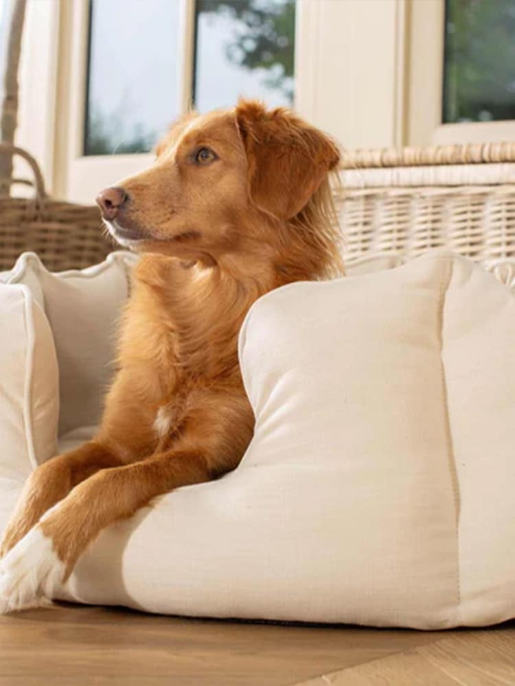 Lords and Labradors Cream High Sided 100% Cotton Savanna Dog Bed - Image 2 of 5