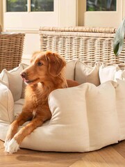 Lords and Labradors Cream High Sided 100% Cotton Savanna Dog Bed - Image 3 of 5