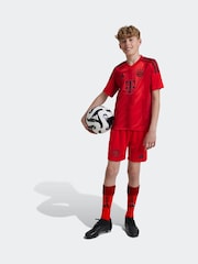 adidas Red Kids FC Bayern 24/25 Home Shorts - Image 1 of 8