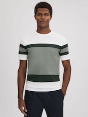 Reiss Sage Multi Auckland Mercerised Cotton Crew Neck T-Shirt - Image 1 of 6