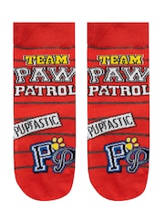 Character Paw Patrol 100% Cotton Socks 3 Pack - Imagen 3 de 4