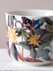 Kew Gardens Set of 2 Multi Living Jewels Butterfly Mugs - Image 2 of 2