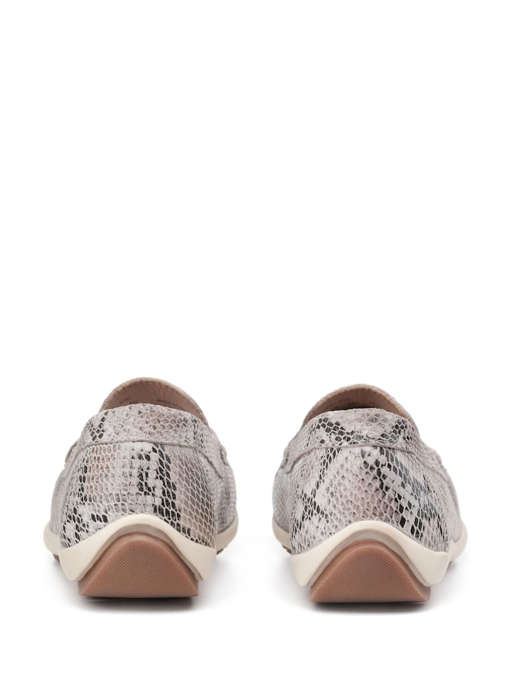 Hotter Snake Print Standard Fit Pier Slip-On Shoes - Image 4 of 4