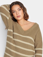 Long Tall Sally Natural V-Neck Striped Jumper - Image 4 of 4