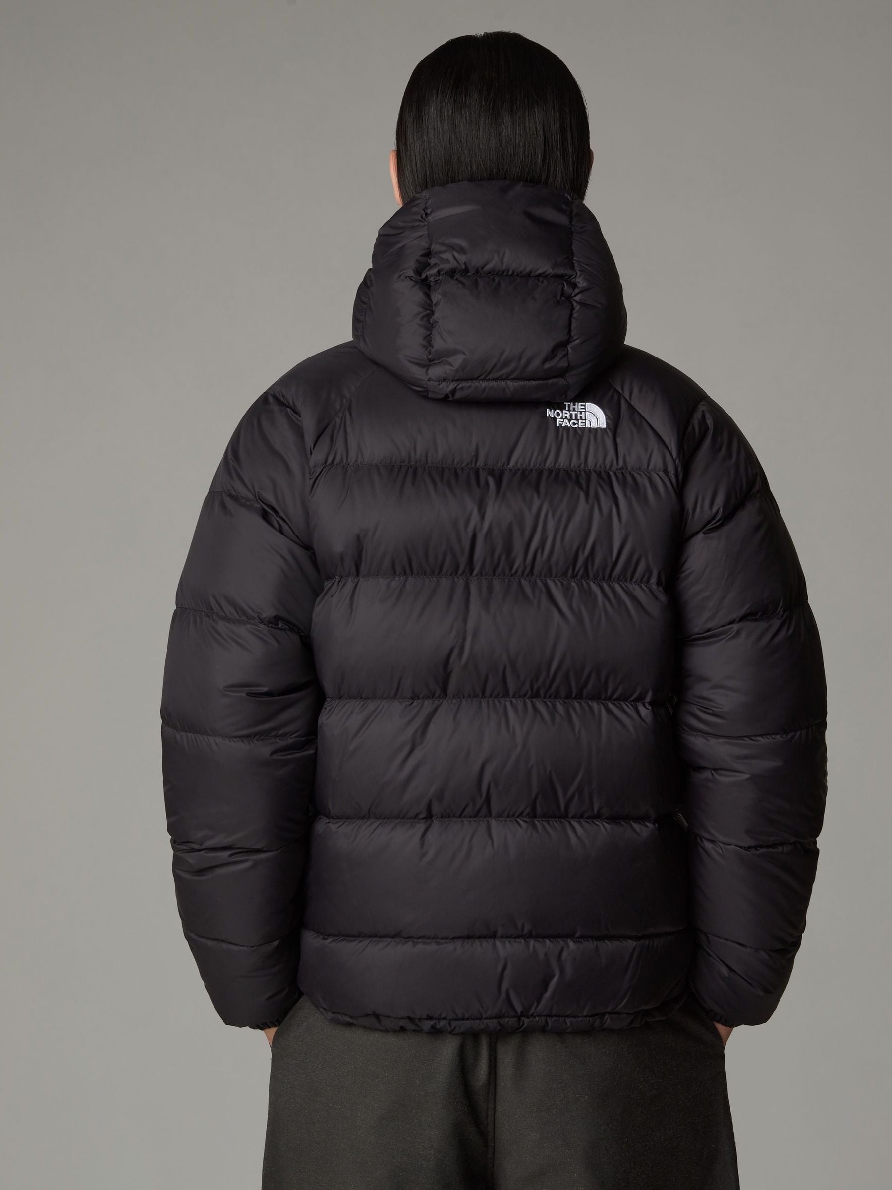 The north face coat with fur hood 2025