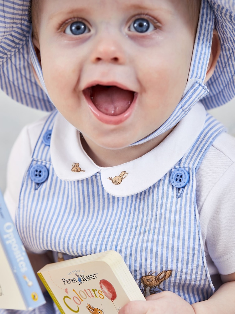 JoJo Maman Bébé Blue 2-Piece Peter Rabbit Dungarees & Bodysuit Set - Image 2 of 2