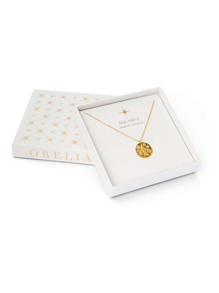 Orelia London Gold Plated Zodiac Medallion Necklace - Image 3 of 3