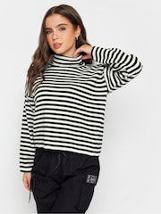 PixieGirl Petite Black Stripe Roll Neck Jumper - Image 1 of 4