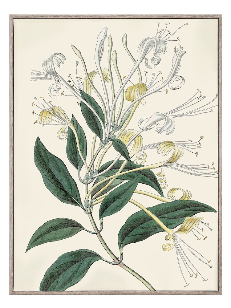 Art Marketing Green Flourishing Foliage Wall Art - Image 2 of 2