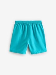 Nike Green Swim Logo Tape 4 Inch Volley Shorts - Image 6 of 8