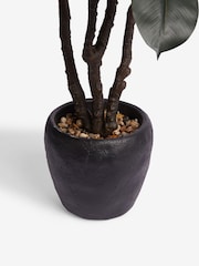 Green Artificial Large Rubber Plant - Image 2 of 5