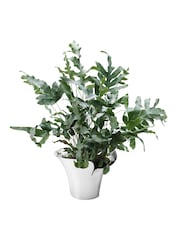 Georg Jensen Bloom Botanica Flower Pot Medium - Image 3 of 3