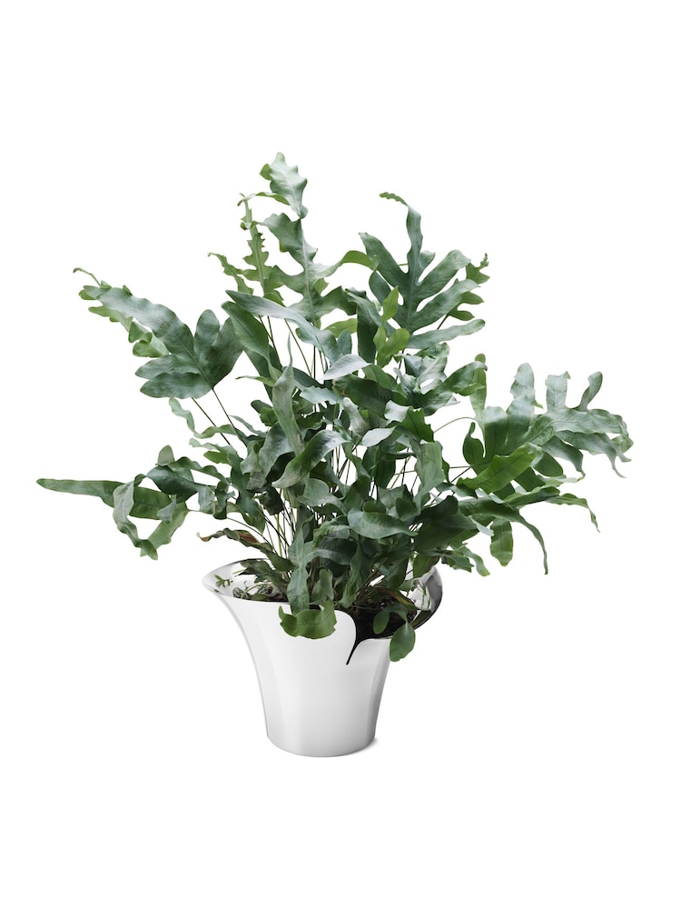 Georg Jensen Bloom Botanica Flower Pot Medium - Image 3 of 3