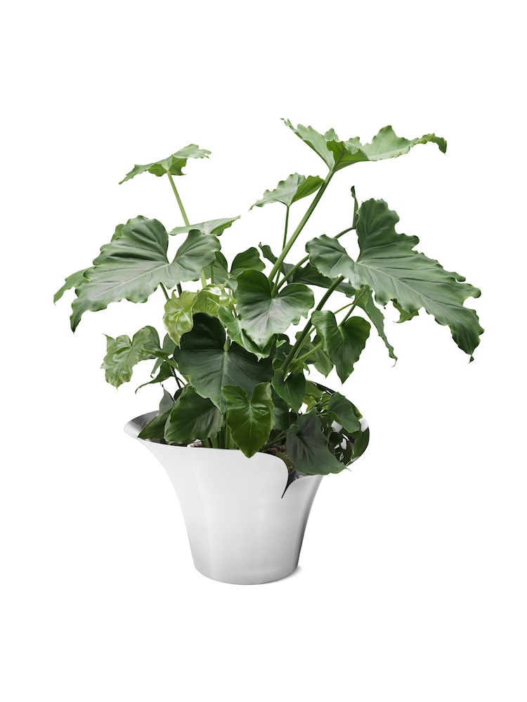Georg Jensen Bloom Botanica Flower Pot Large - Image 4 of 4