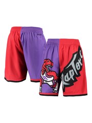 Fanatics Purple NBA Toronto Raptors NBA Big Face Fashion Shorts 5.0 - Image 1 of 3