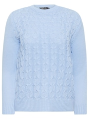 M&Co Blue Petite All-Over Front Cable Jumper - Image 5 of 5