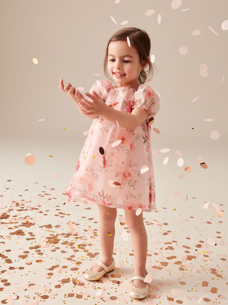 Pink Floral Organza Party Dress (3mths-8yrs) - Image 1 of 8