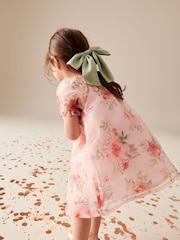 Pink Floral Organza Party Dress (3mths-8yrs) - Image 3 of 8