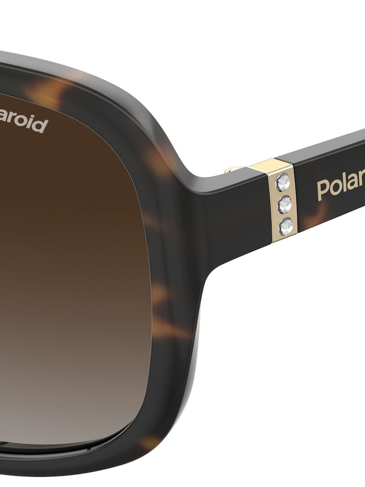 Polaroid 4098/S Butterfly Brown Sunglasses - Image 4 of 4