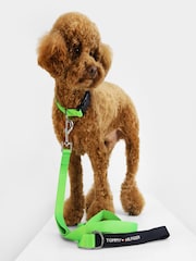 Verde - Correa para perro de Tommy Hilfiger - Imagen 1 de 2