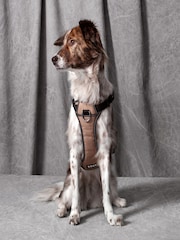 BOSS Brown Dog Harness - Image 1 of 5