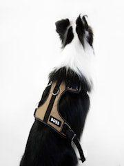 BOSS Brown Dog Harness - Image 2 of 5