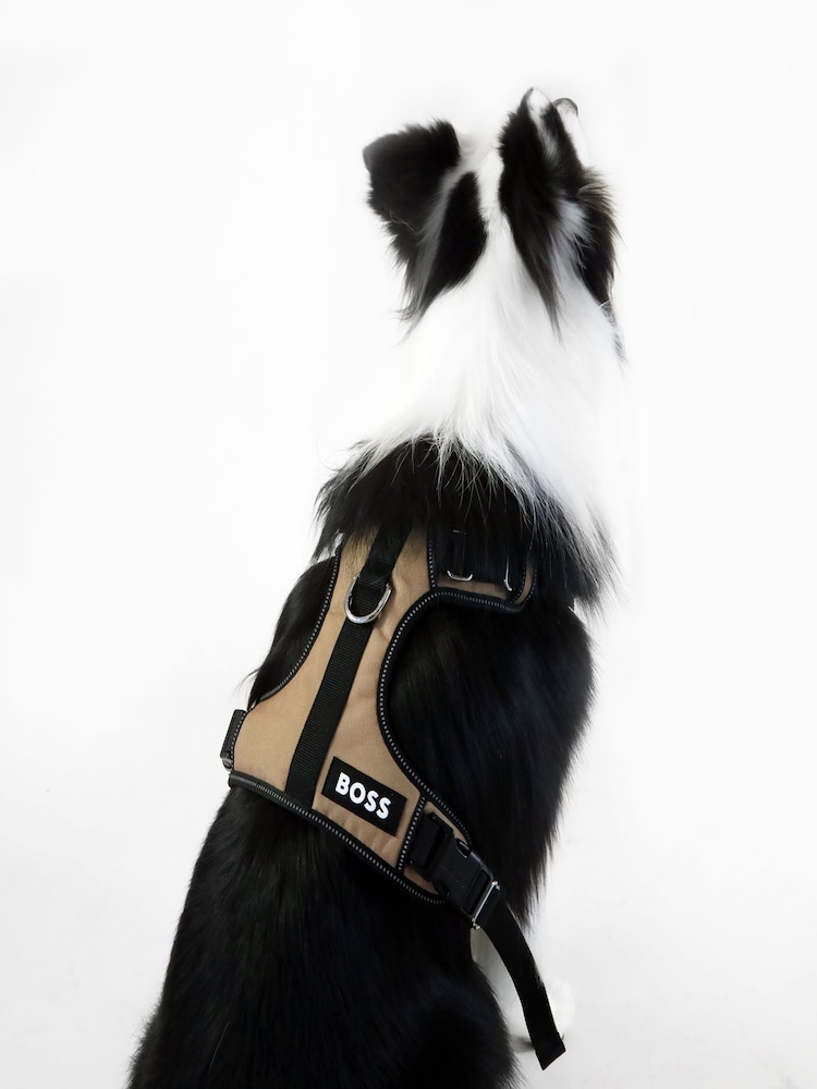BOSS Brown Dog Harness - Image 2 of 5