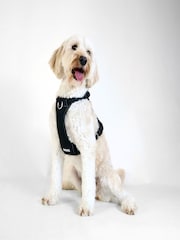 BOSS Black Dog Harness - Image 1 of 6
