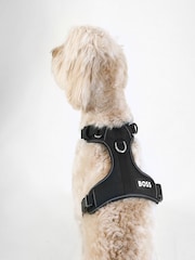 BOSS Black Dog Harness - Image 2 of 6