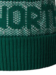 The North Face Green Chrome Retro Cabin Beanie - Image 3 of 3