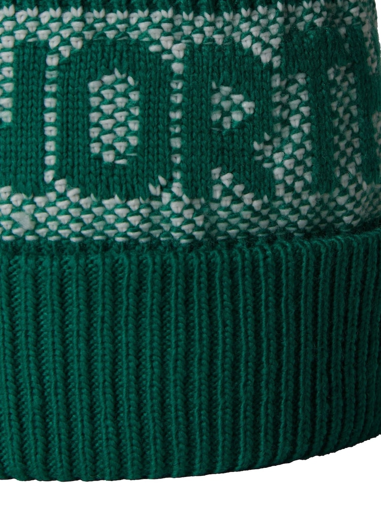 The North Face Green Chrome Retro Cabin Beanie - Image 3 of 3