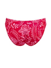 Pour Moi Red High Leg Palm Springs Colour Block Tab Bikini Briefs - Image 5 of 5