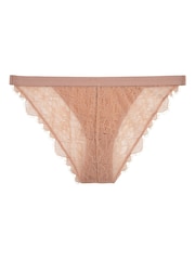 Love Stories Light Brown Wild Rose Lace Briefs - Image 5 of 5