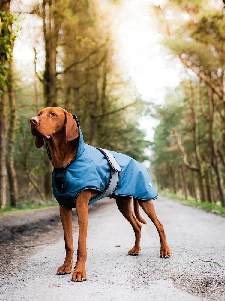 Danish Designs Blue 2-In-1 Ultimate Dog Coat - Image 1 of 5