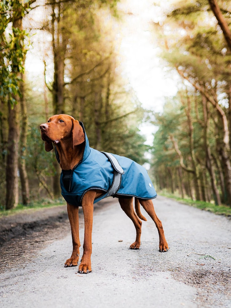 Danish Designs Blue 2-In-1 Ultimate Dog Coat - Image 5 of 5