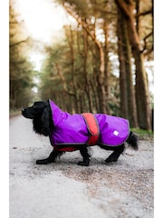 Danish Designs Purple 2-In-1 Ultimate Dog Coat - Image 2 of 5