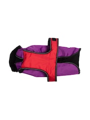 Danish Designs Purple 2-In-1 Ultimate Dog Coat - Image 4 of 5