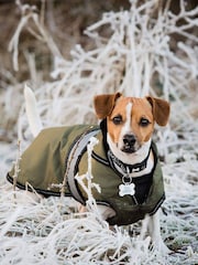 Danish Designs Khaki Green 2-In-1 Ultimate Dog Coat - Image 1 of 5