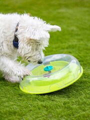Rosewood Green Nina Ottosson Wobble Bowl Dog Toy Challenge - Image 2 of 4