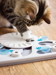 Rosewood Grey Nina Ottosson Puzzle Play Rainy Day Cat Toy Challenge - Image 2 of 4
