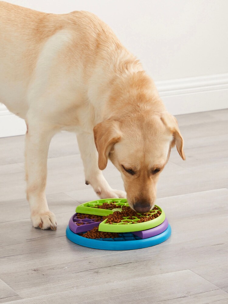 Rosewood Green Nina Ottosson Lickin' Layers Dog Toy Challenge - Image 4 of 5