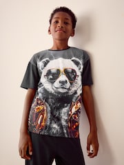 Black Panda Single 100% Cotton Pyjamas (3-16yrs) - Image 4 of 8