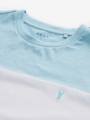 Blue Regular Fit Block T-Shirt - Image 6 of 7