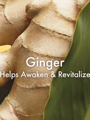 Origins Ginger Essence Sensuous Skin Scent 100ml - Image 2 of 2